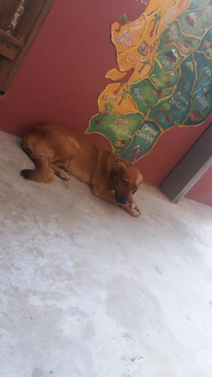 Hospedaje Dannita B&B Jipijapa Esterno foto